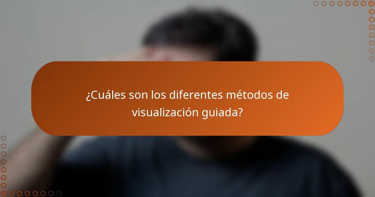 ¿Cuáles son los diferentes métodos de visualización guiada?